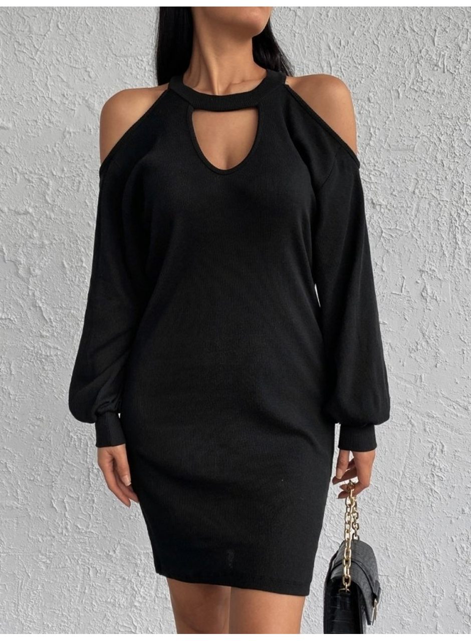 Kadın Uzun Kollu Omuzları Açık Boyundan şerit Detay Kaşkorse Elbise