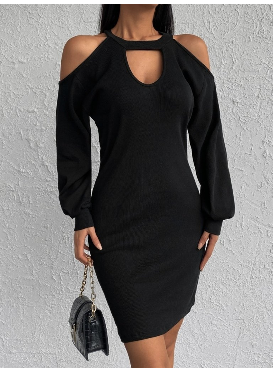 Kadın Uzun Kollu Omuzları Açık Boyundan şerit Detay Kaşkorse Elbise