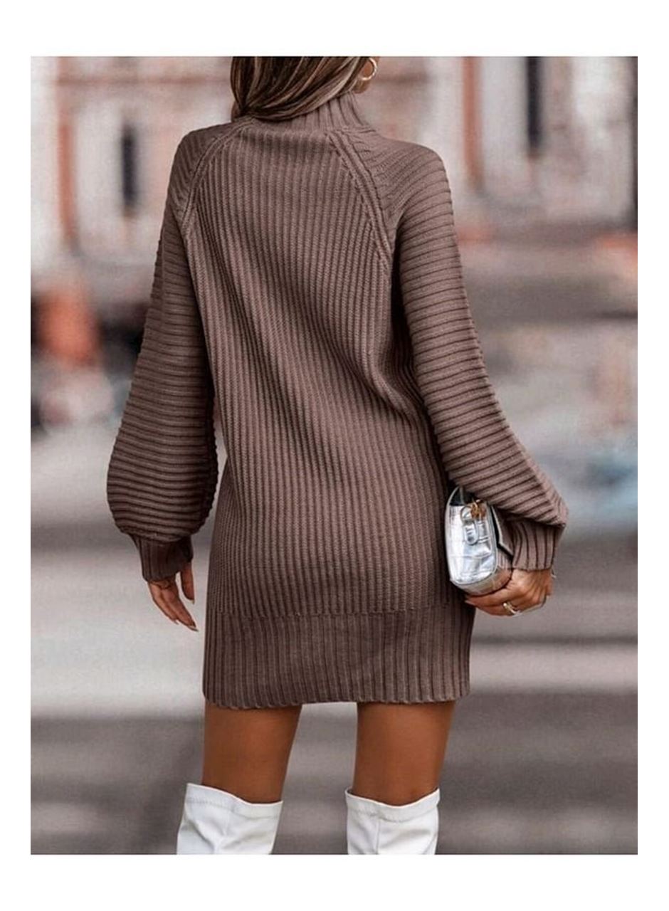 Kadın Uzun Kollu Balıkçı Yaka Mini Triko Elbise