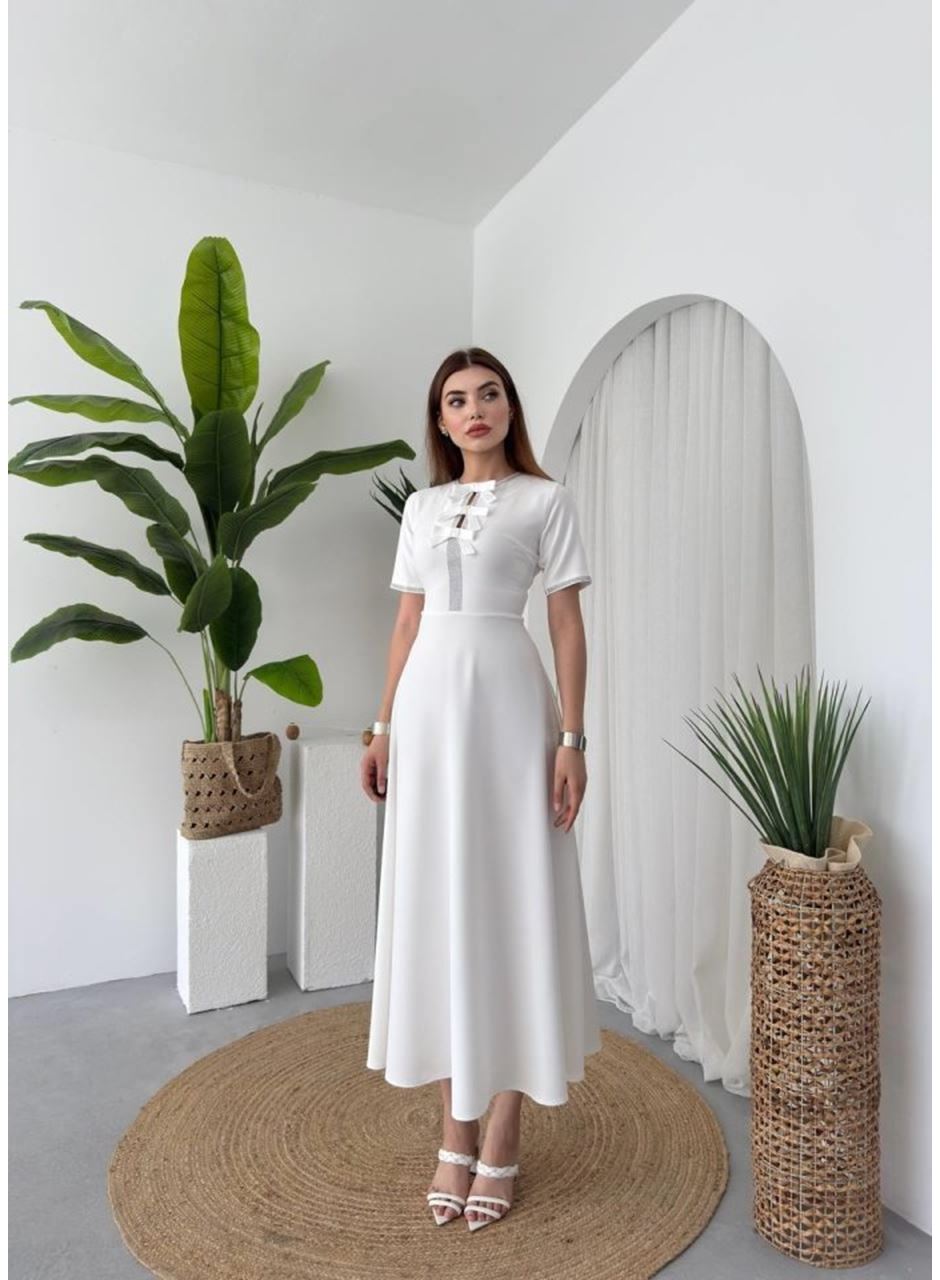 Wera Taşlı Fiyonk Detaylı Elbise