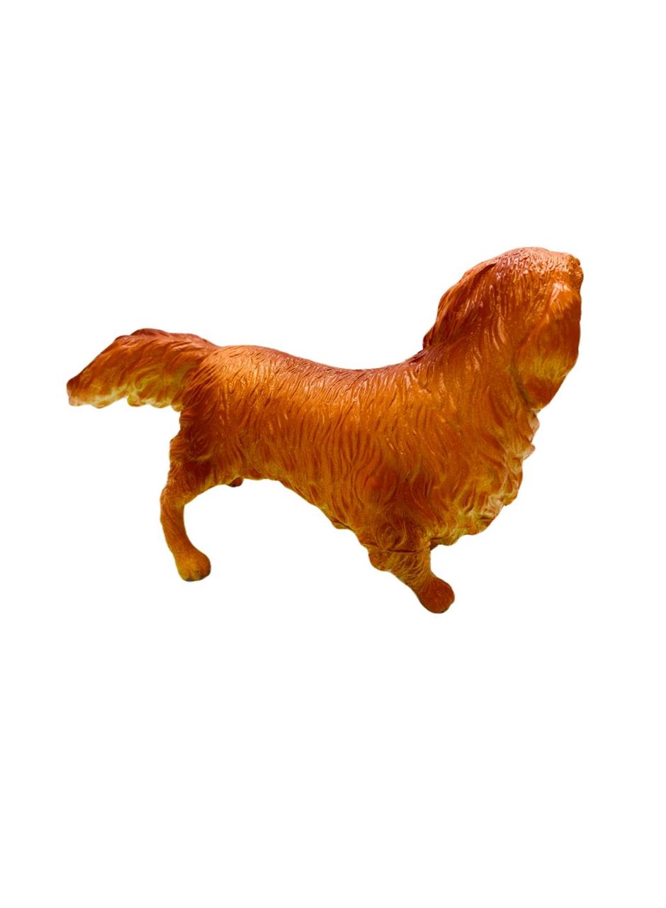 Soft Köpekler - Collie Cinsi Köpek - E013