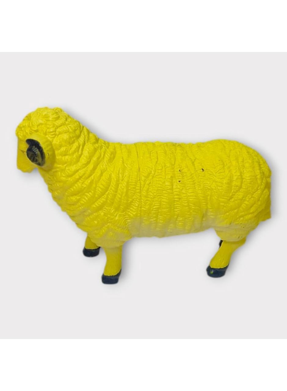 Çiftlik Hayvanları - Koyun