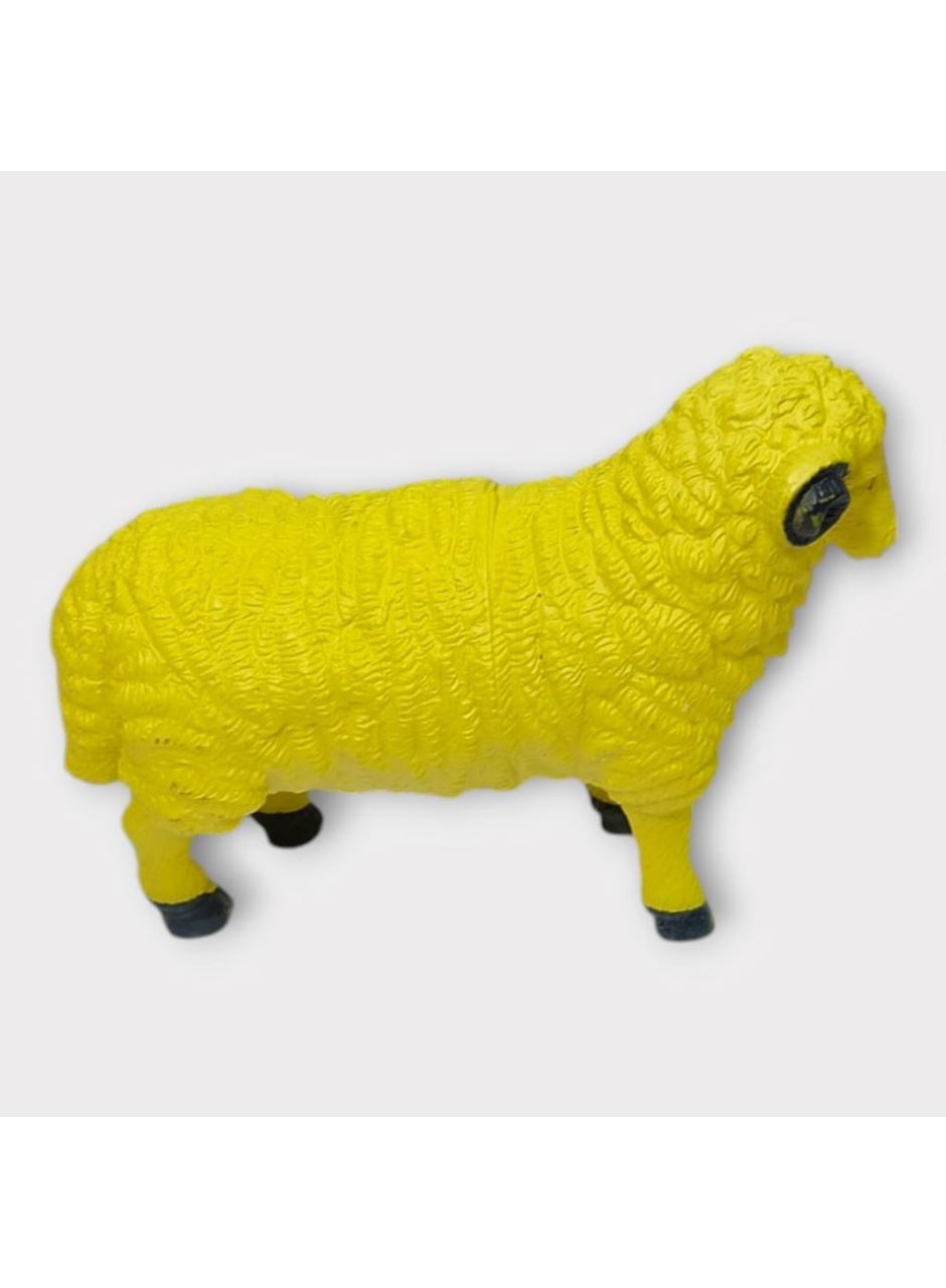 Çiftlik Hayvanları - Koyun