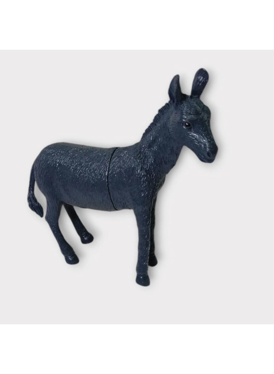 Çiftlik Hayvanları - Eşek