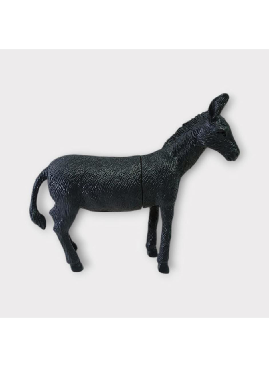 Çiftlik Hayvanları - Eşek