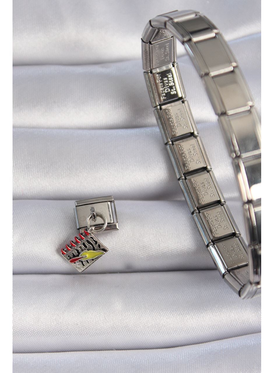 316L Çelik Gümüş Renk Sallantı Defter Figür Nomination Charm