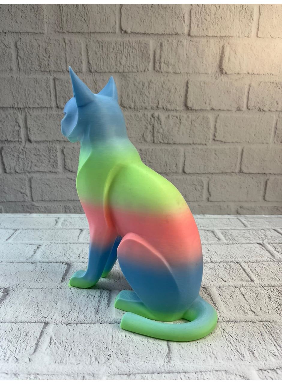 AÇIK RAİNBOW KEDİ