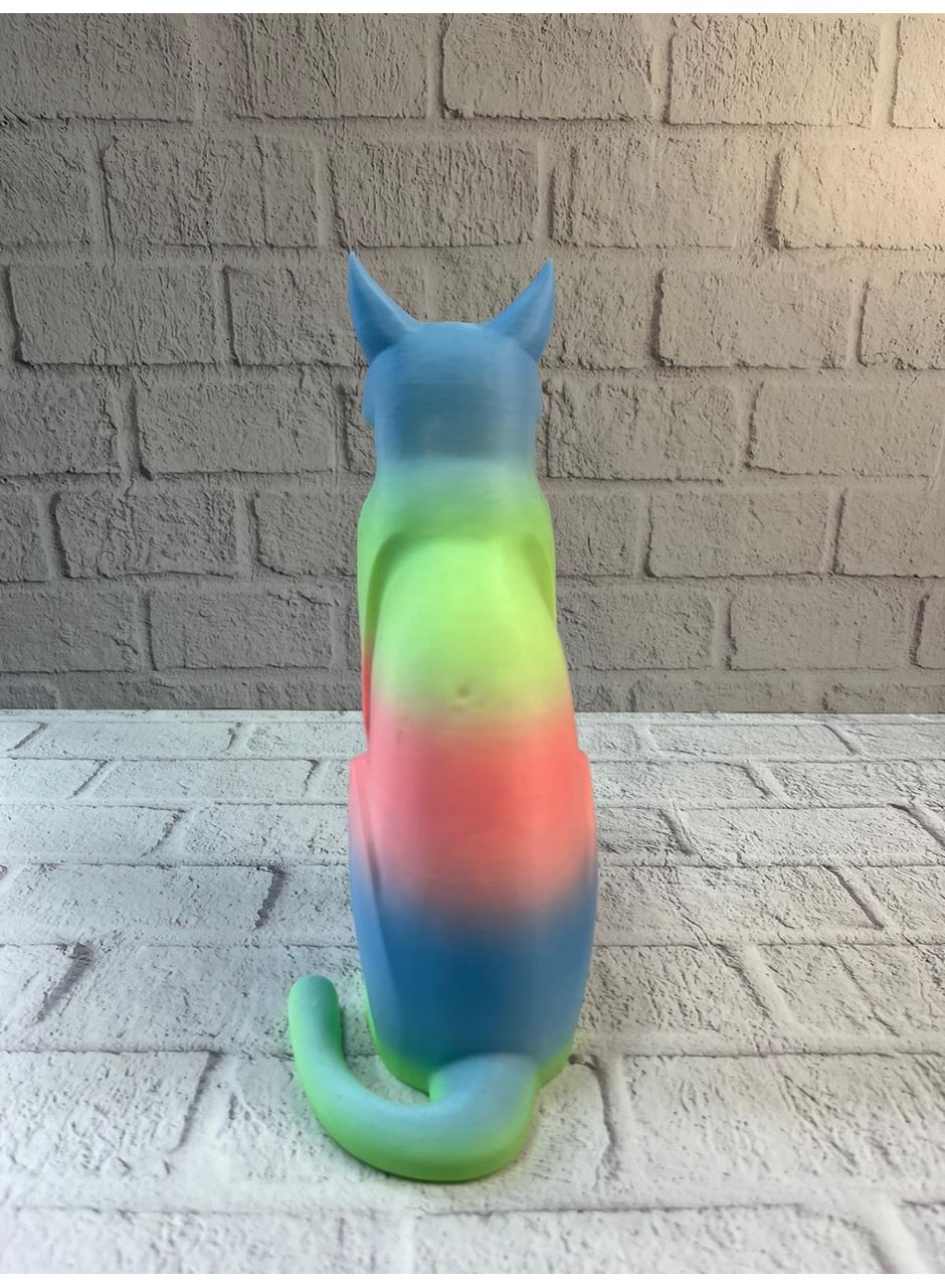 AÇIK RAİNBOW KEDİ