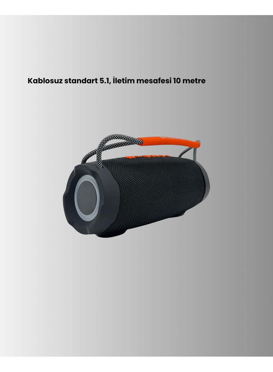 10W Çift Çıkış Güçlü Bluetooth Hoparlör Eller Serbest