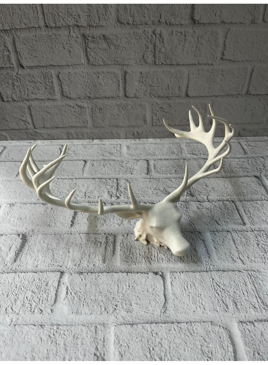 odern Geyik Başı Biblo 25 cm Zarif Masa Üstü Dekor