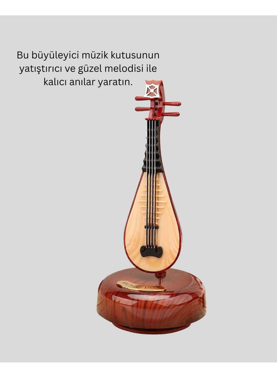 PİPA MÜZİK KUTUSU