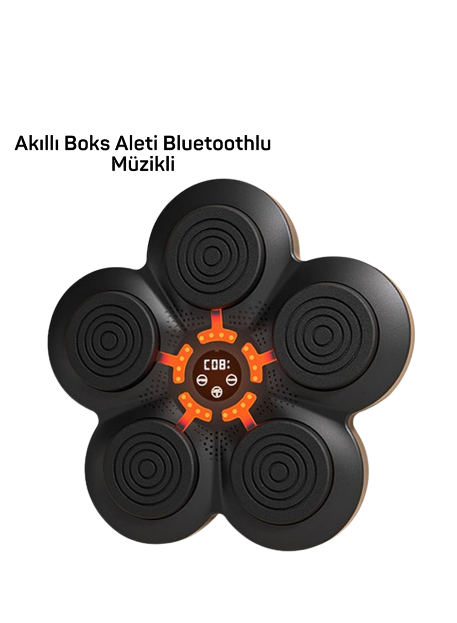 MÜZİK BOX MAKİNESİ