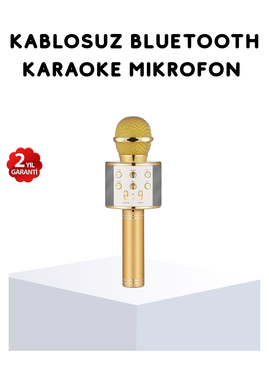 Karaoke Mikrofonu Bluetooth USB AUX Girişli Yankı Efektli