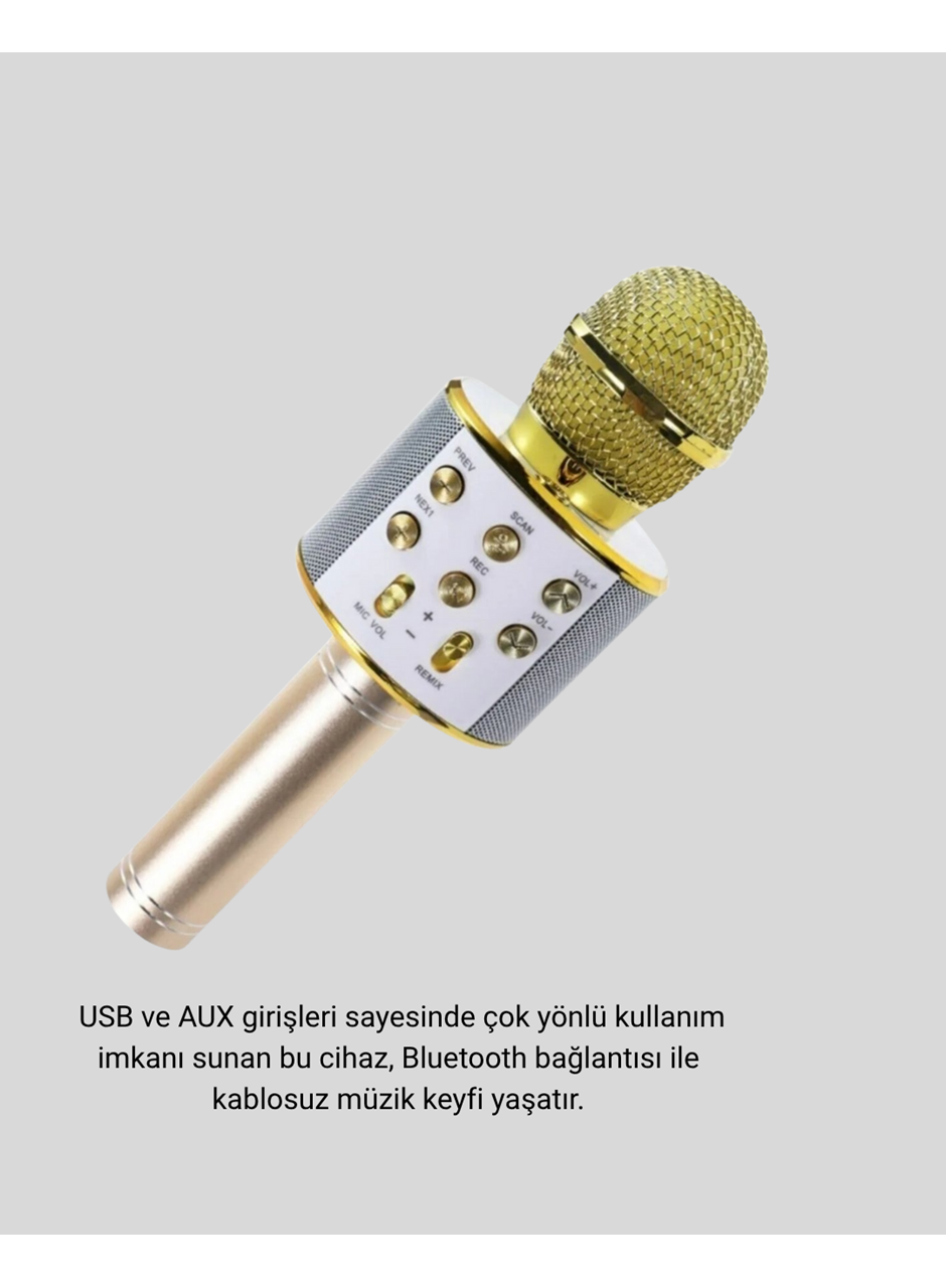 Karaoke Mikrofonu Bluetooth USB AUX Girişli Yankı Efektli