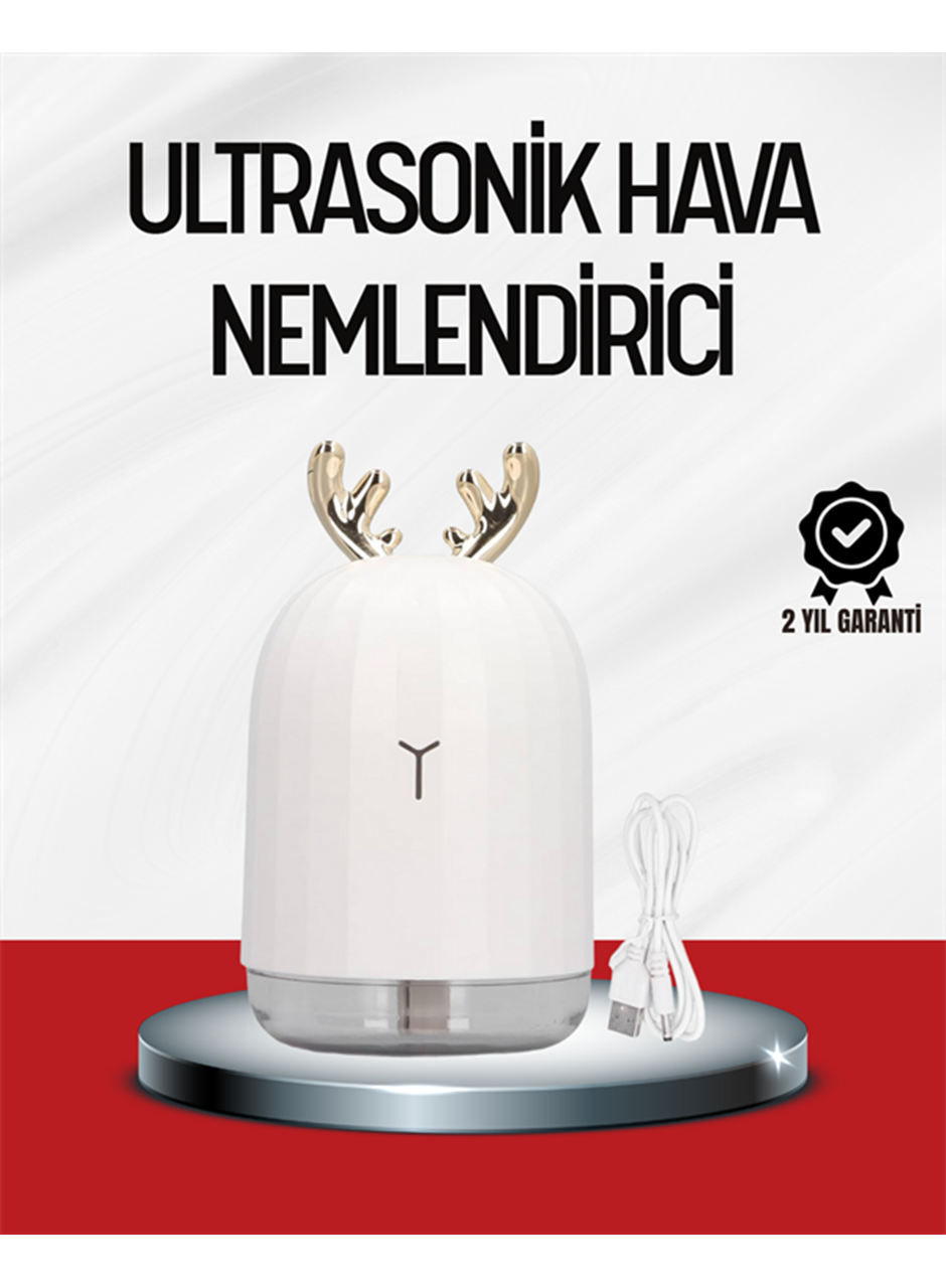 El Tipi USB Mini Soğuk Mist Nemlendirici 220 ml Tank