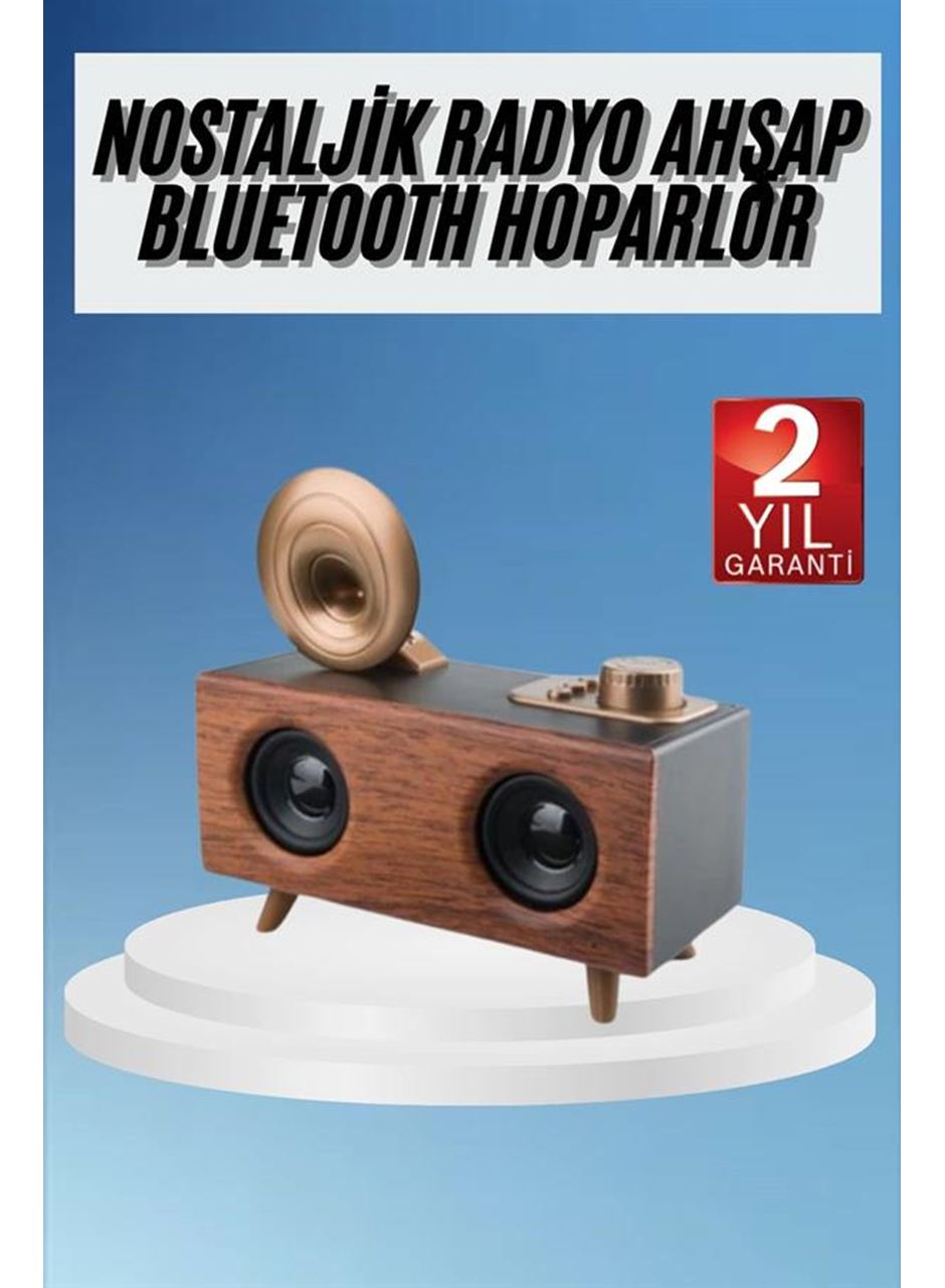Gramafon Radyo Bluetooth Hoparlör Nostaljik Radyo FM Radyo