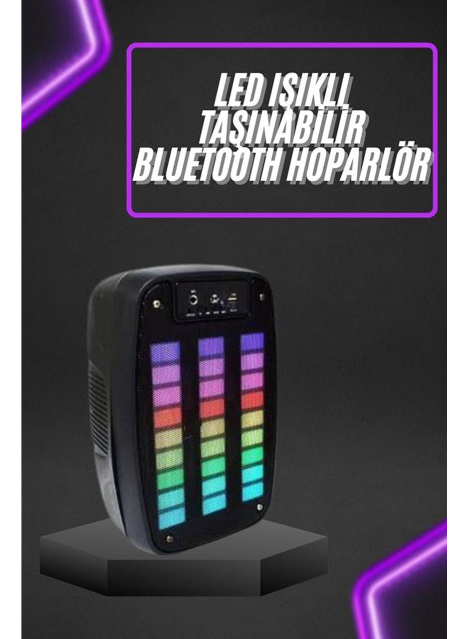 Taşınabilir 6.5 inç LED Bluetooth Kareoke Hoparlör RGB Işıklı Radyolu