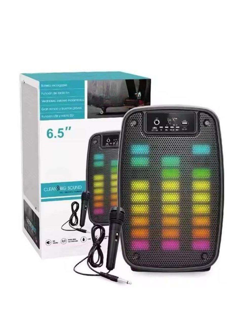 Taşınabilir 6.5 inç LED Bluetooth Kareoke Hoparlör RGB Işıklı Radyolu