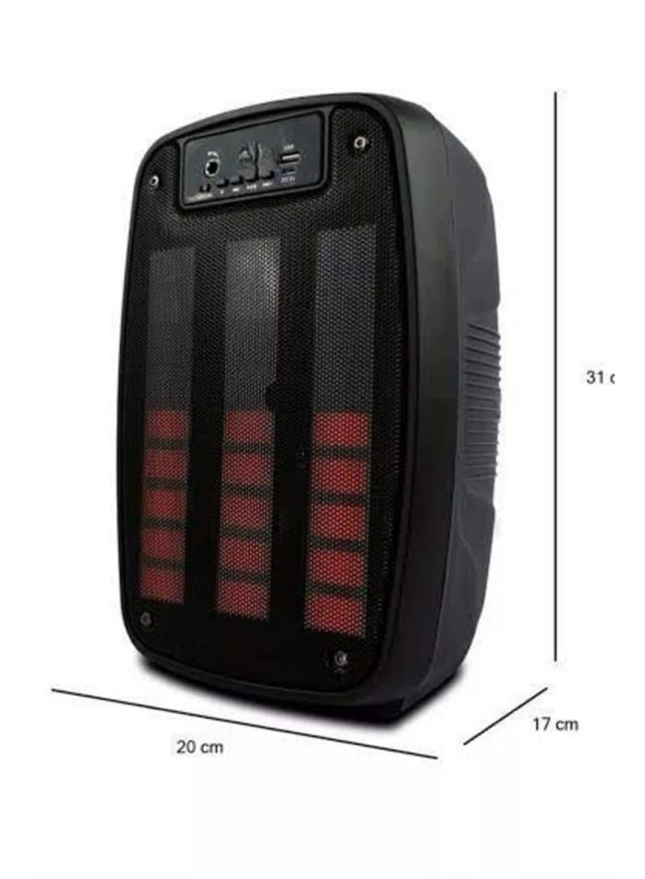 Taşınabilir 6.5 inç LED Bluetooth Kareoke Hoparlör RGB Işıklı Radyolu