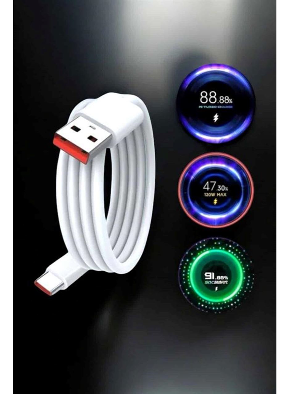 Type-C 120W Şarj Aleti Hızlı Şarj Turbo