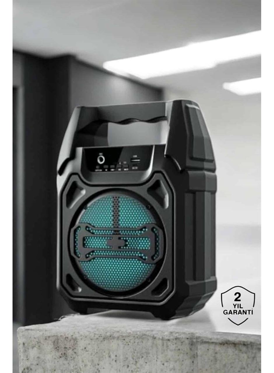 Kablosuz 6.5 İnç TWS Bluetooth Hoparlör