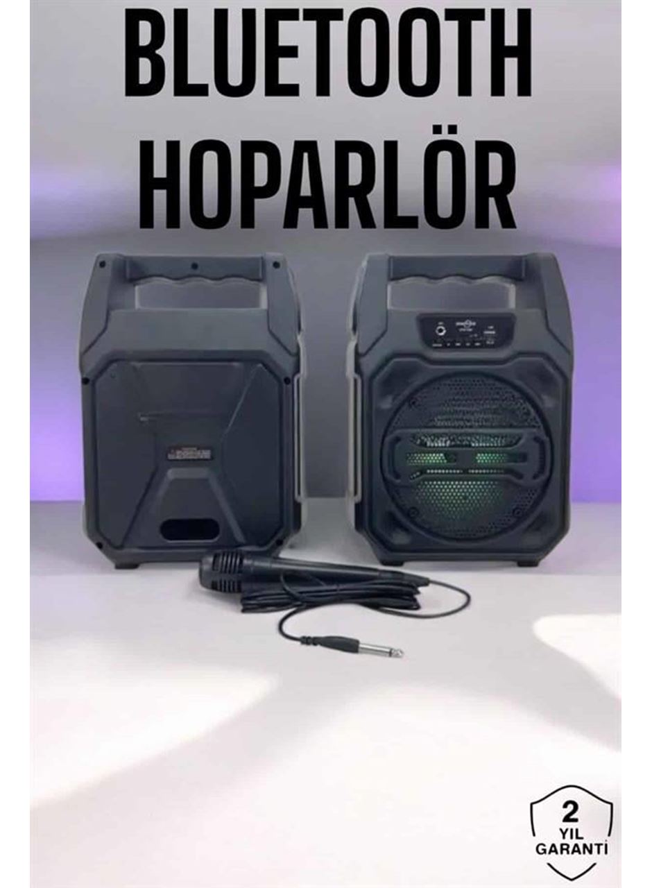 6.5 İnç Kablosuz Hoparlör Bluetooth Bağlantılı Yüksek Ses Kaliteli