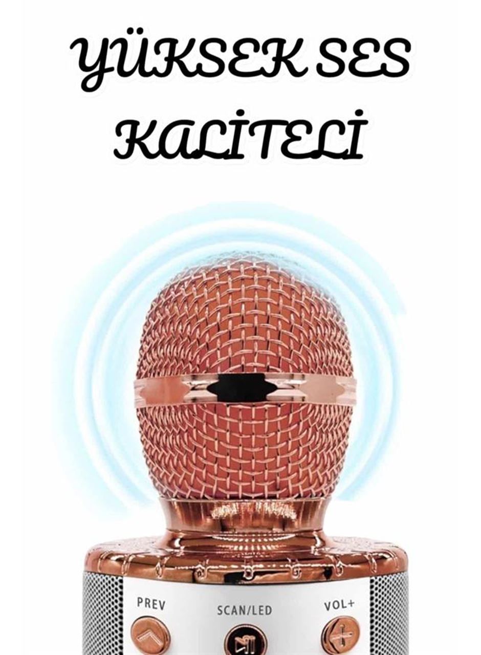 Şarjlı ve Uzun Pil Ömürlü Karaoke Mikrofon USB Bellek Destekli, Profesyonel Ses