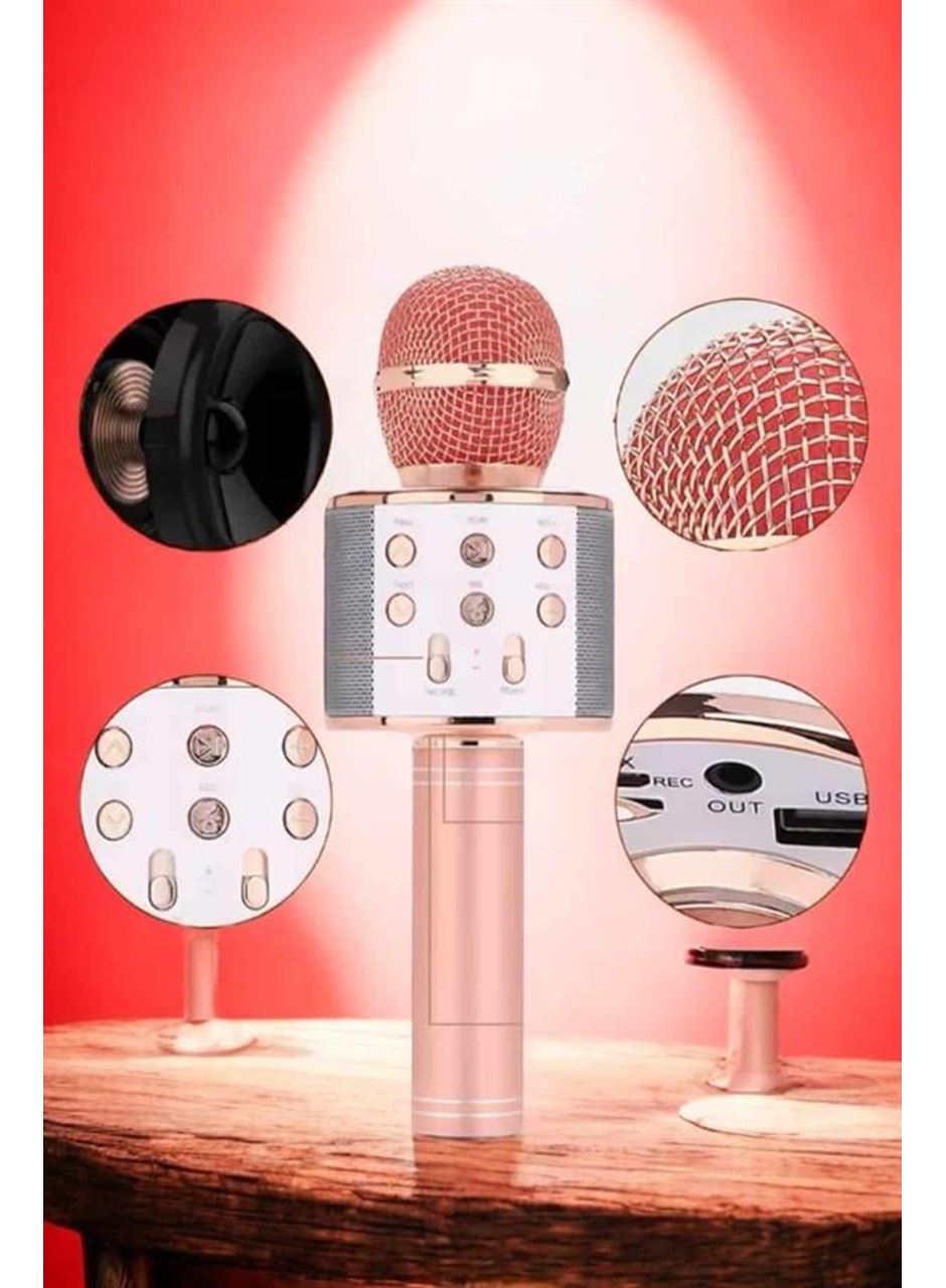 Şarjlı ve Uzun Pil Ömürlü Karaoke Mikrofon USB Bellek Destekli, Profesyonel Ses