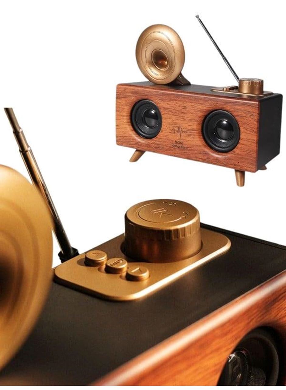 B6 SPEAKER HOPARLÖR