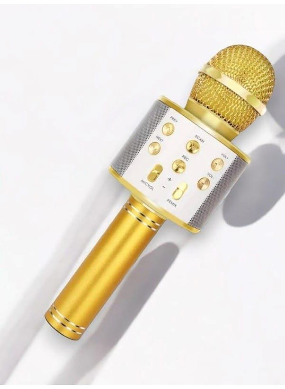KAREOKE  MIKROFON