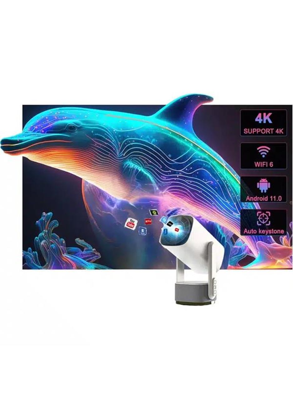 ŞARJLI PROJEKSİYON