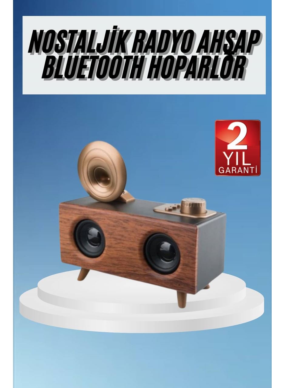 Gramafon Radyo Bluetooth Hoparlör Nostaljik Radyo FM Radyo