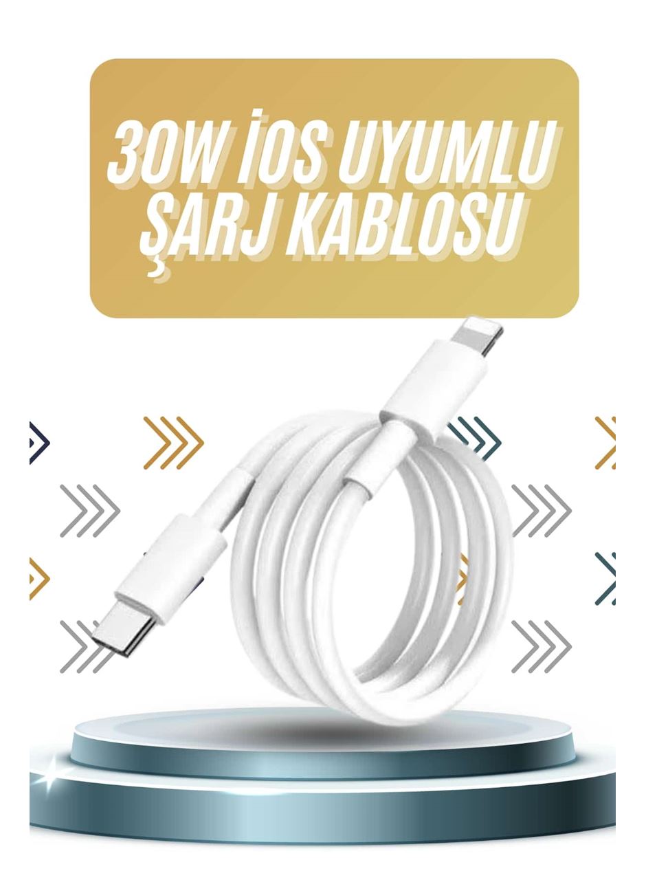 IOS Tüm Serilerle Uyumlu 30W Hızlı Şarj Aleti 11 12 13 14/Pro Max Mini Plus
