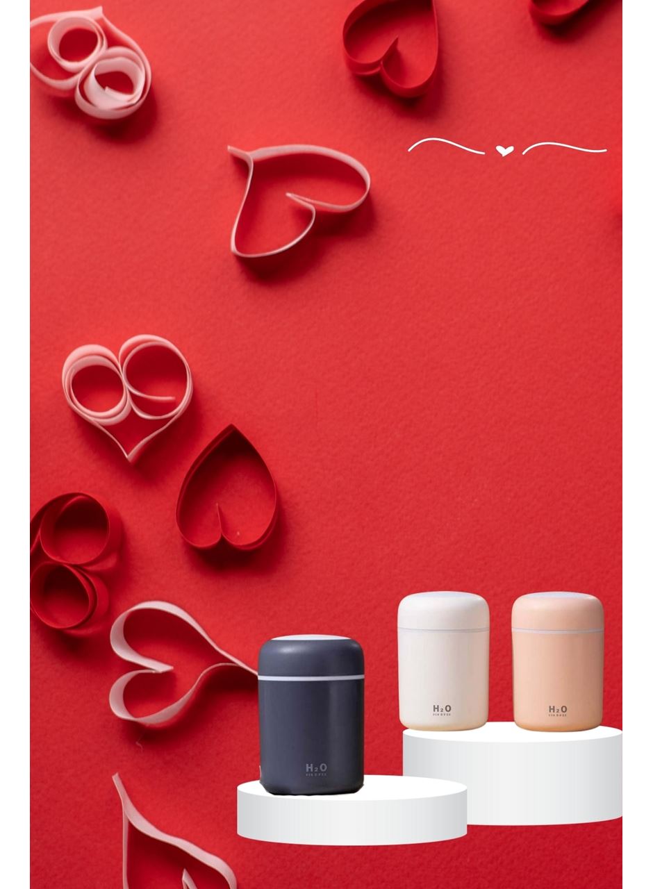 Sevgiliye Hediye Led Işıklı Hava Nemlendirici USB Şarjlı Sevgiliye Özel