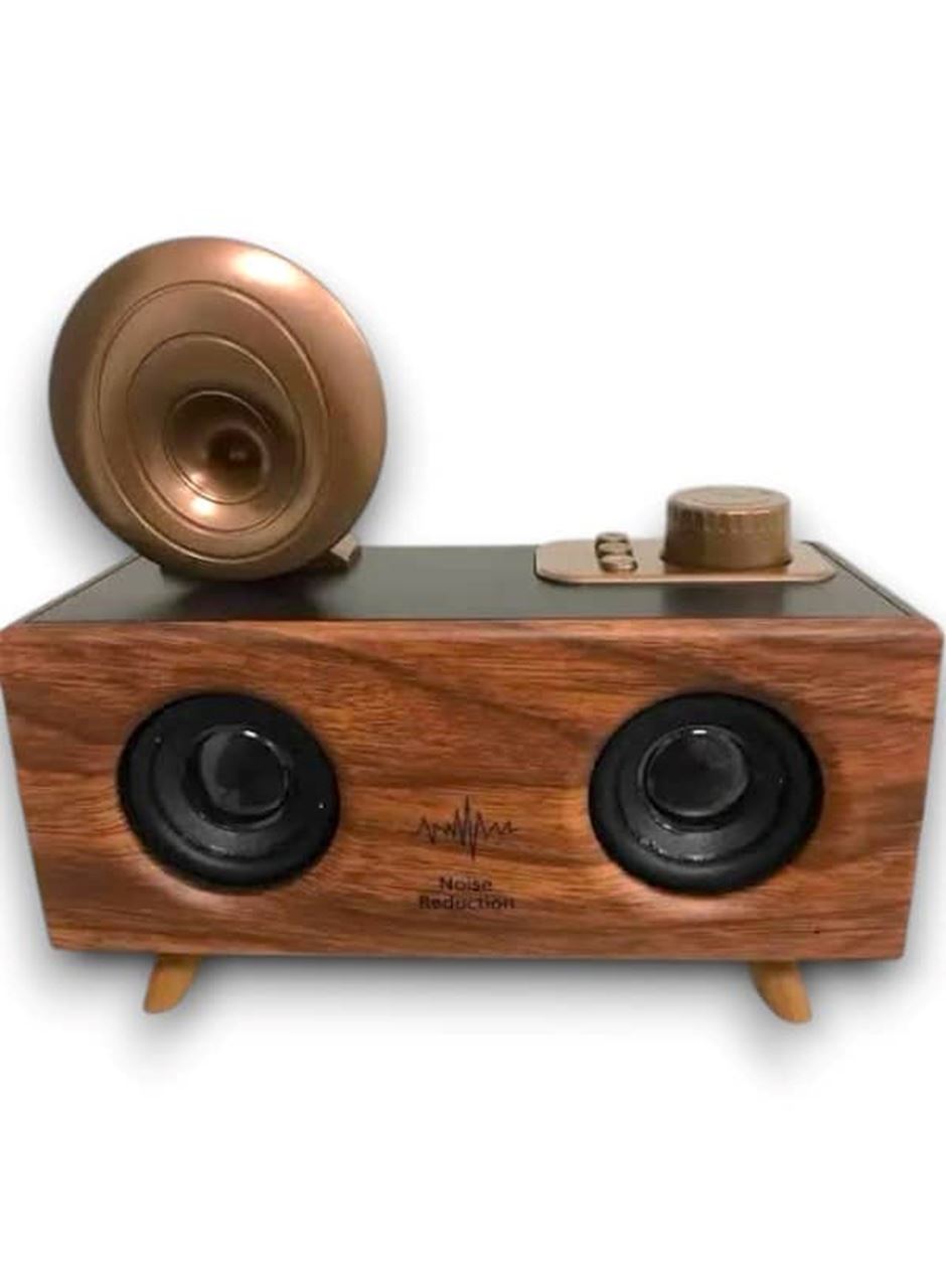 B6 SPEAKER HOPARLÖR