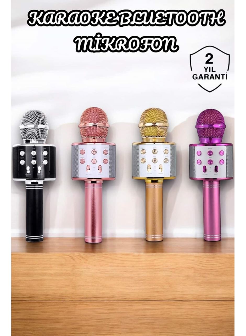 Şarjlı ve Uzun Pil Ömürlü Karaoke Mikrofon USB Bellek Destekli, Profesyonel Ses