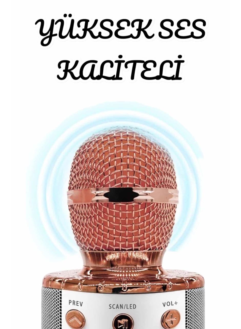 Şarjlı ve Uzun Pil Ömürlü Karaoke Mikrofon USB Bellek Destekli, Profesyonel Ses