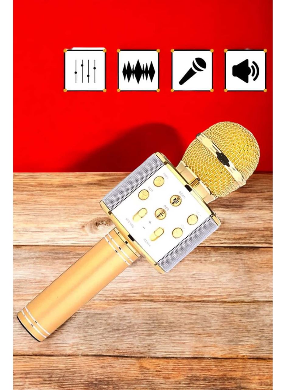 Şarjlı ve Uzun Pil Ömürlü Karaoke Mikrofon USB Bellek Destekli, Profesyonel Ses