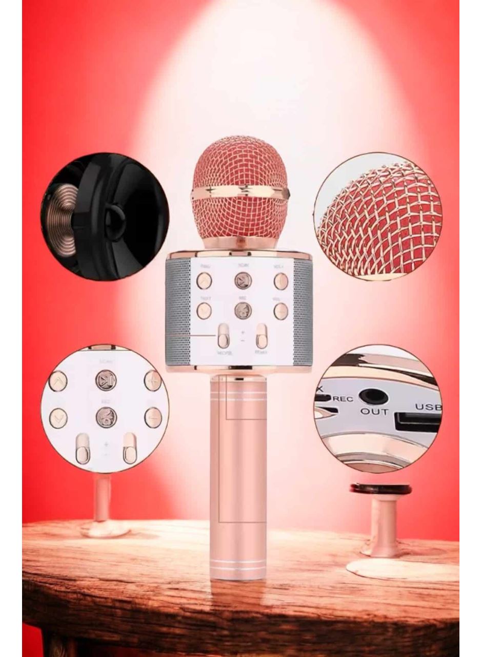 Şarjlı ve Uzun Pil Ömürlü Karaoke Mikrofon USB Bellek Destekli, Profesyonel Ses