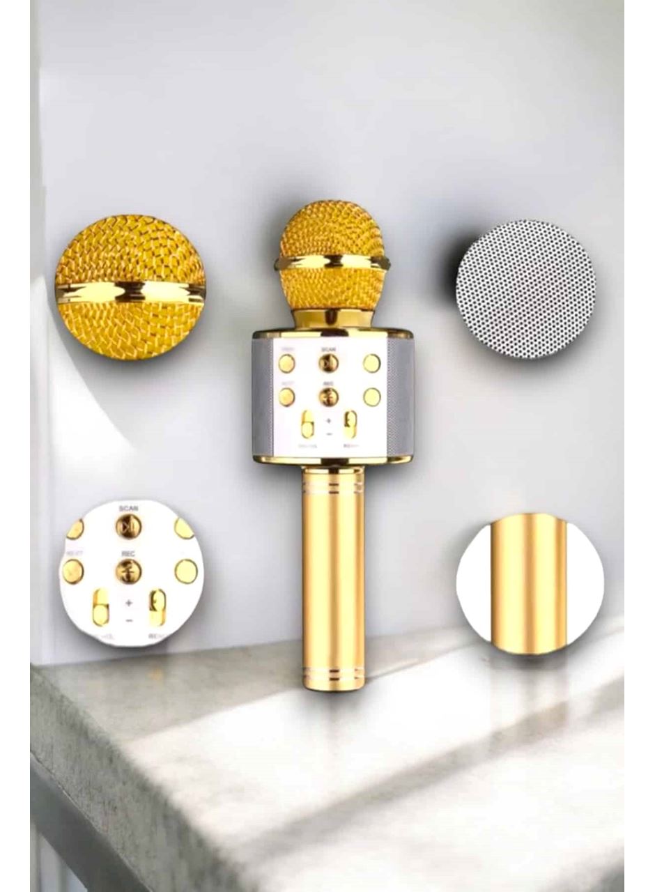 Taşınabilir Bluetooth Karaoke Mikrofon: Hafıza Kart Girişli, Etkileyici Performans