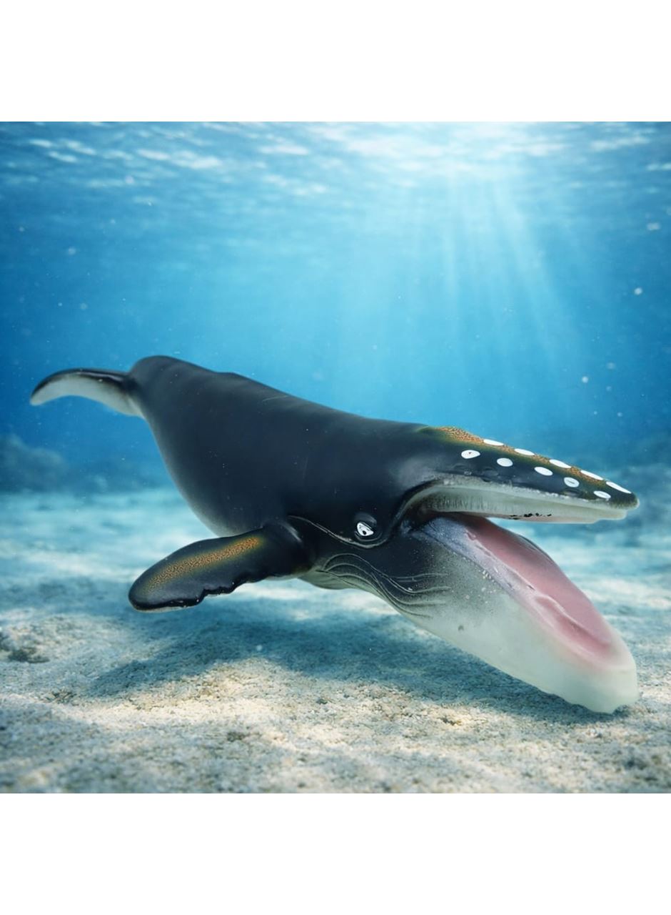 Deniz Hayvanları Serisi - Kambur Balina 30 cm