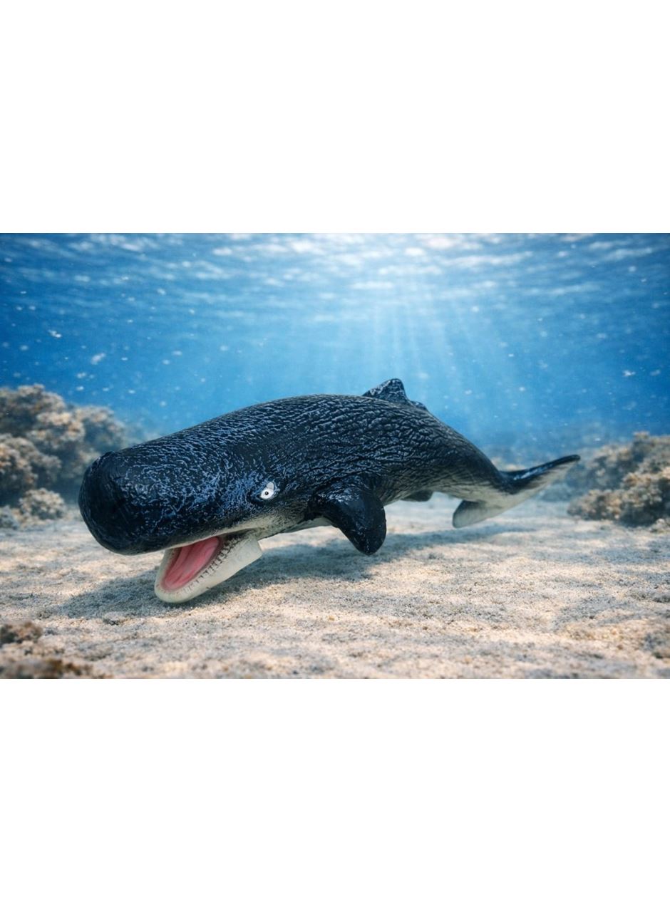 Deniz Hayvanları Serisi - İspermeçet Balina 22 cm