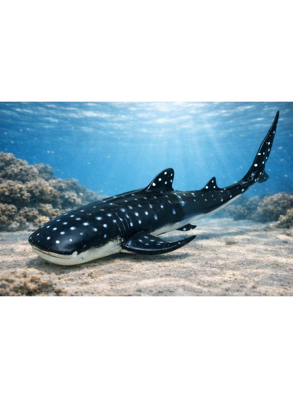 Deniz Hayvanları Serisi - Balina Köpekbalığı 29 cm