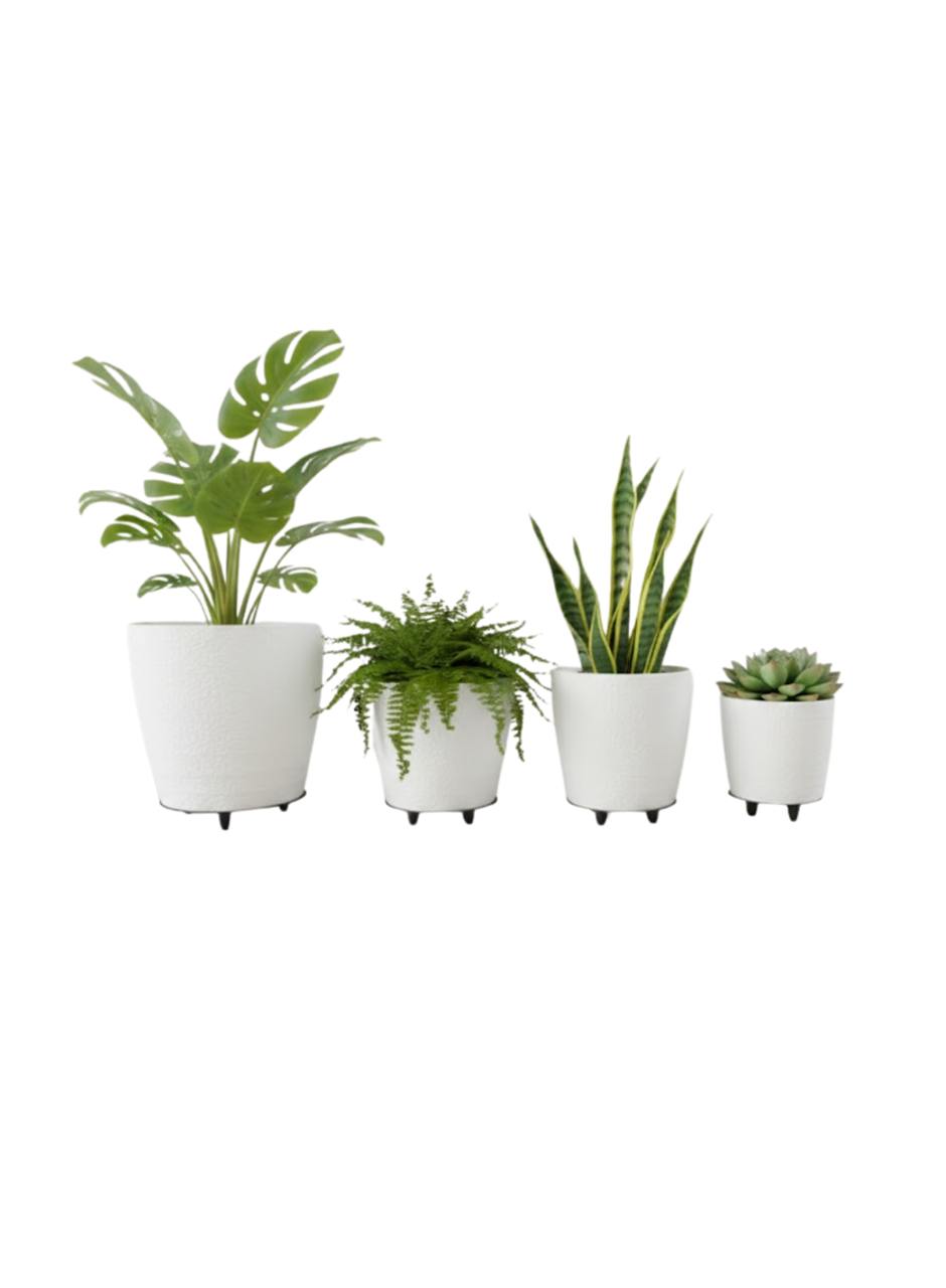 4’lü 3D Beyaz Ayaklı Saksı Seti Modern Minimal Dekoratif Vazo