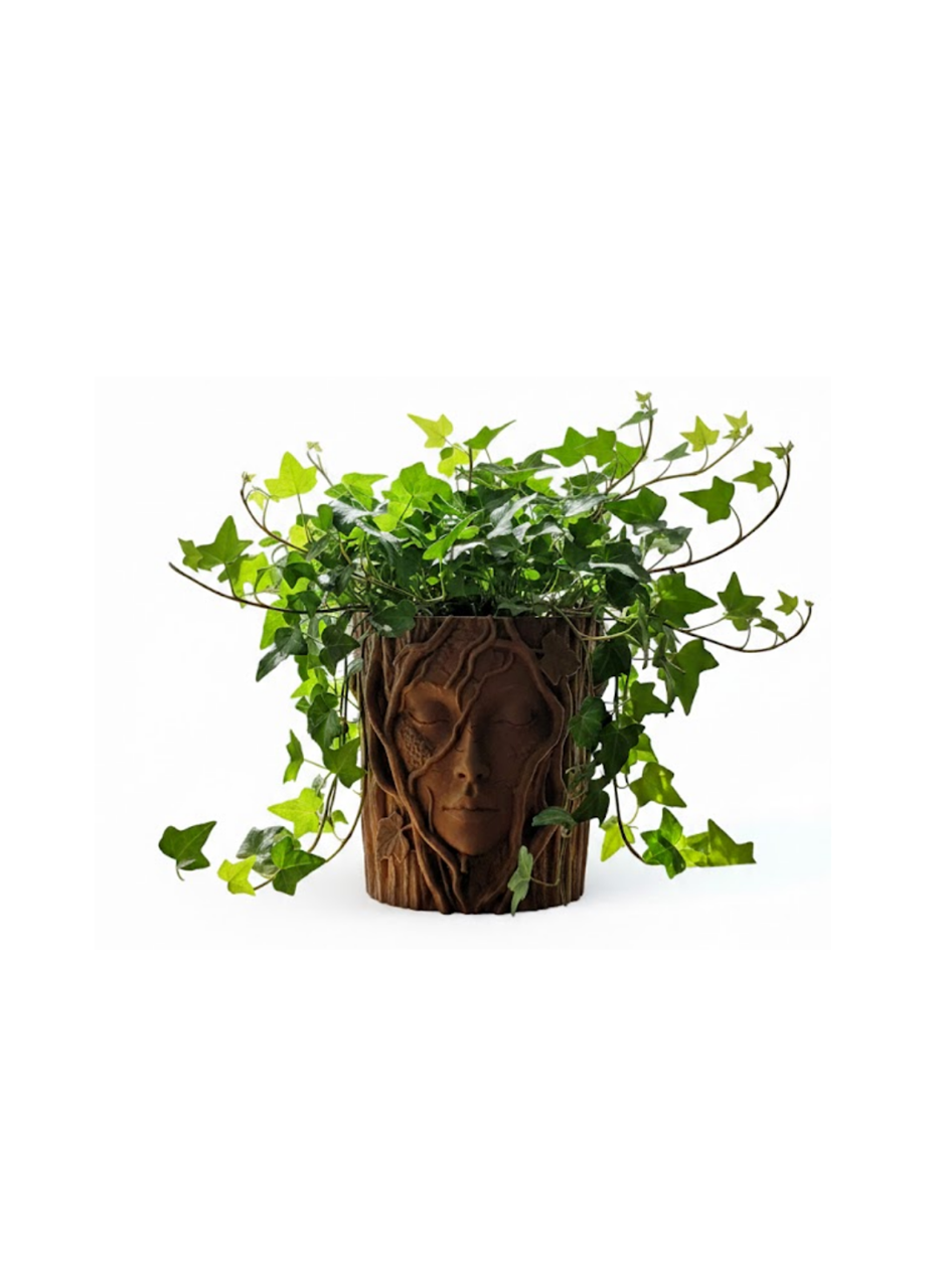 3D Yüz Figürlü Doğa Konseptli Dekoratif Saksı Şık Vazo Tasarımı
