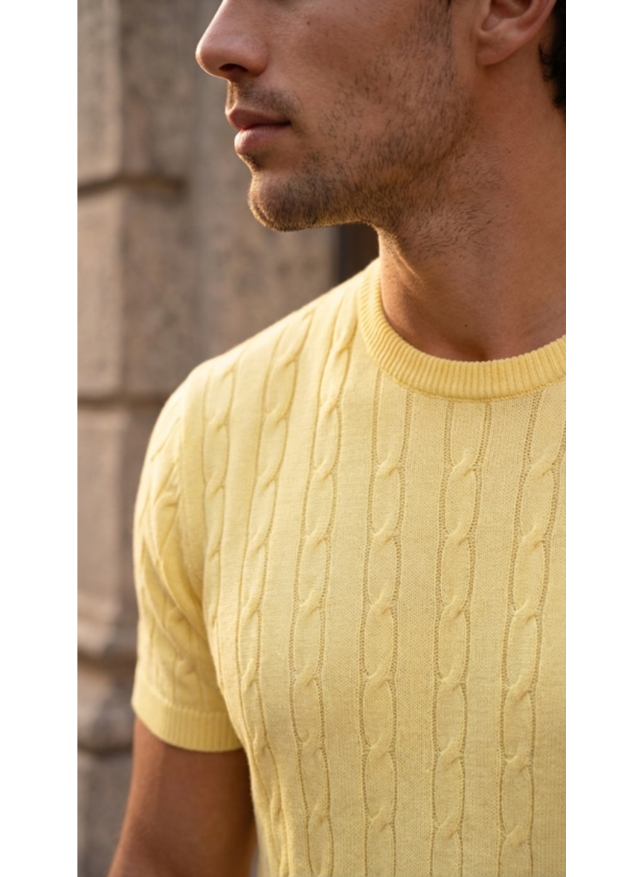 Erkek Örgü Desen Bisiklet Yaka Triko Tişört - %100 Pamuk Akrilik