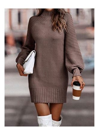 Kadın Uzun Kollu Balıkçı Yaka Mini Triko Elbise