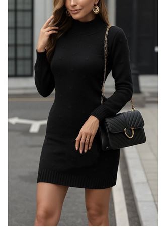 Kadın Uzun Kollu Balıkçı Yaka Triko Mini Boy Elbise