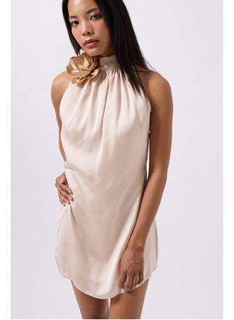 Gül Detay Mini Saten Elbise