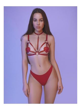 Fantezi Kırmızı Harness Sütyen Kumaş Külot Takımı